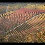 Farm stay Casamatilda Dogliani