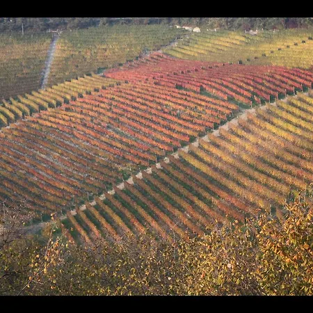 Bauernhof Casamatilda Dogliani