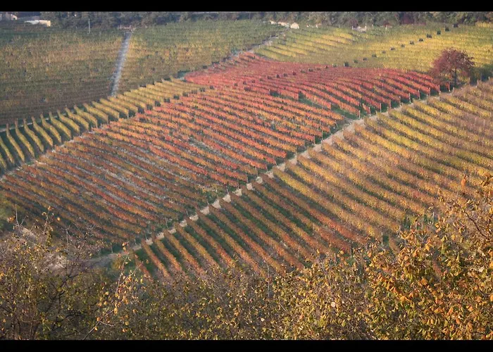 Çiftlik konaklama Casamatilda Dogliani